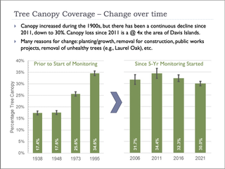 A slide from the 2021 Tree Canopy report showing a decline of 4% since 2011.