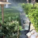 A landscaped yard with micro irrigation.