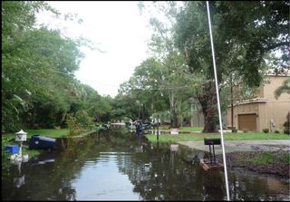 A flooded tree lined street.