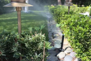 A landscaped yard with micro irrigation.